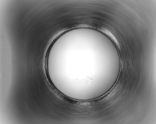 X0000096671043200802051006