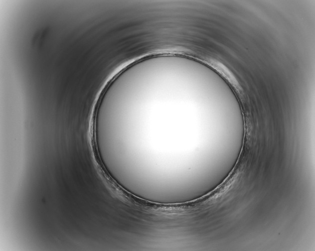X0000096671044200802051006
