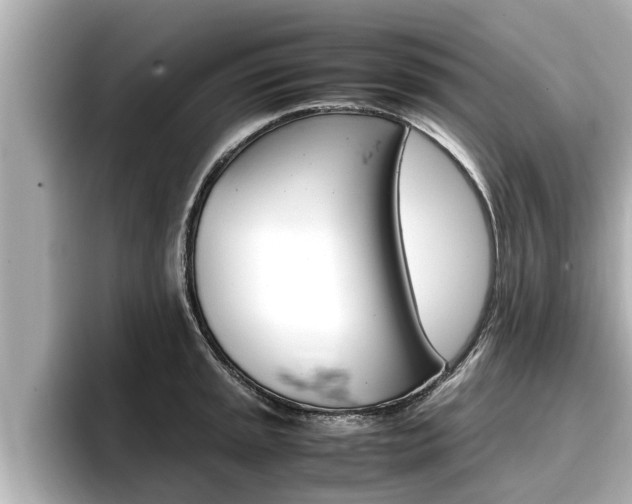 X0000096671045200802051006
