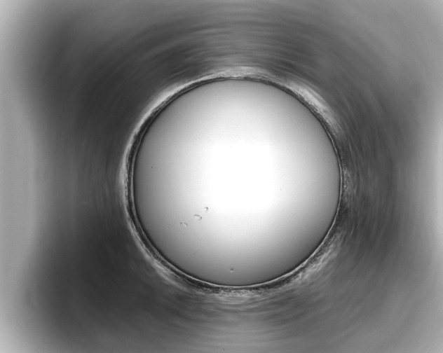 X0000096671046200802051006