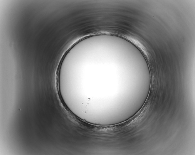 X0000096671047200802051006