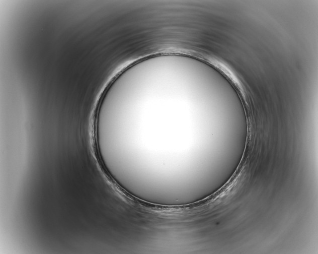 X0000096671048200802051006