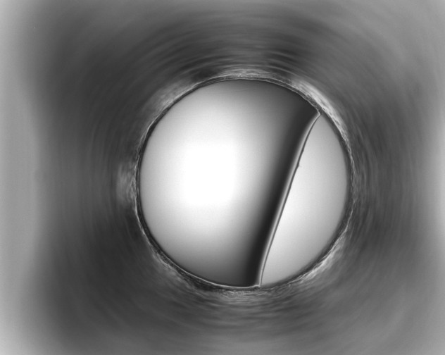 X0000096671049200802051006