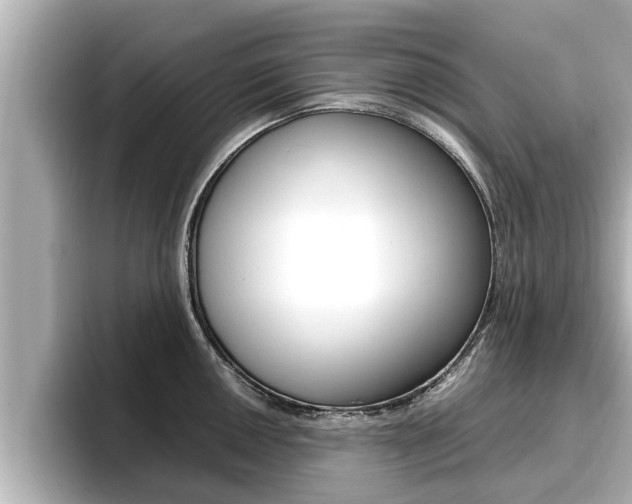 X0000096671050200802051006