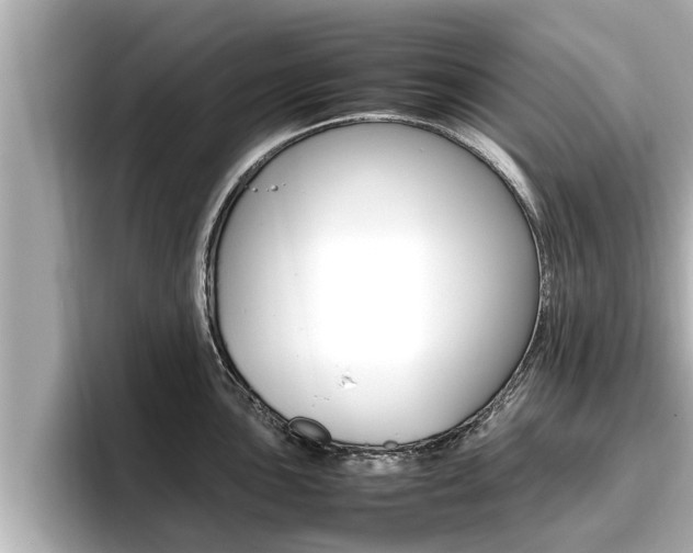 X0000096671051200802051006