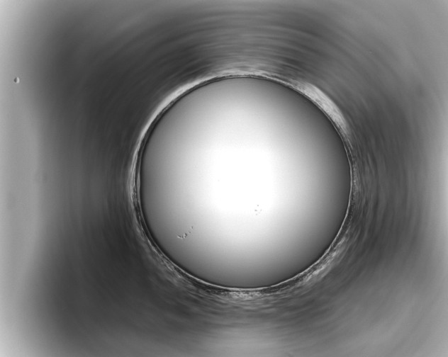 X0000096671052200802051006