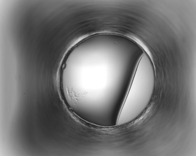 X0000096671053200802051006
