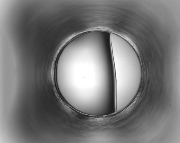 X0000096671054200802051006