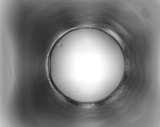 X0000096671055200802051006