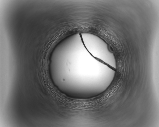 X0000096671057200802051005