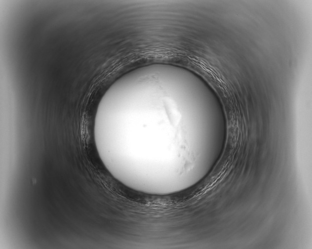 X0000096671058200802051005