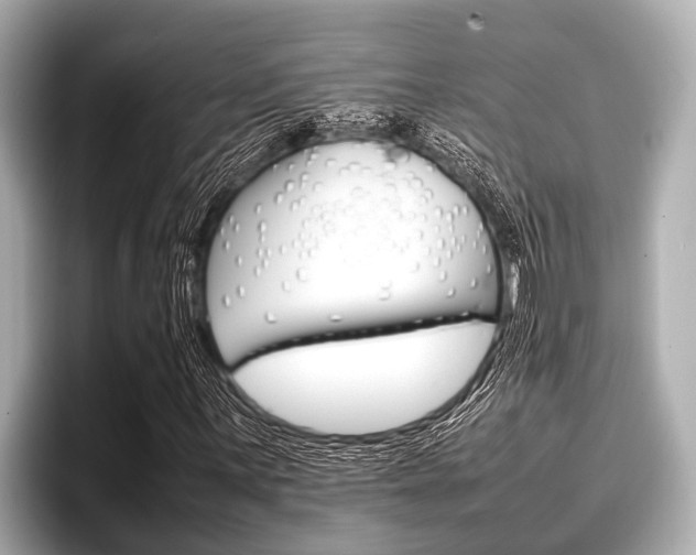 X0000096671059200802051005