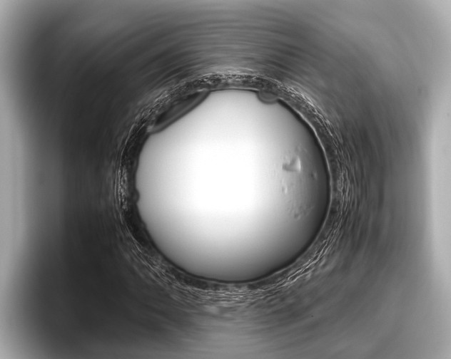X0000096671062200802051005