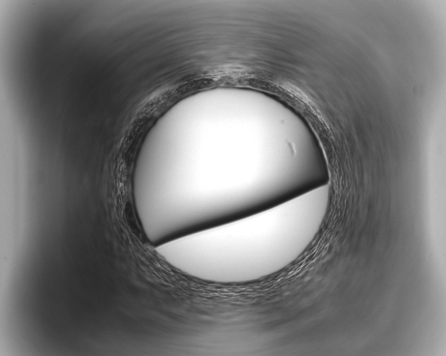 X0000096671063200802051005