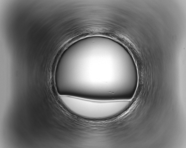 X0000096671065200802051005