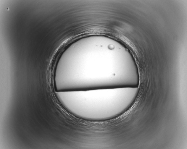 X0000096671067200802051005