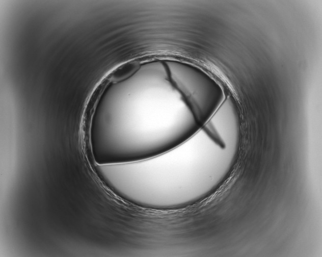 X0000096671068200802051005