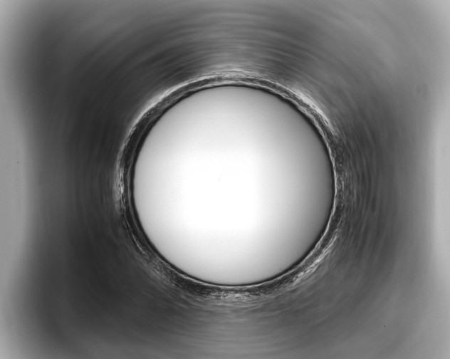 X0000096671070200802051005