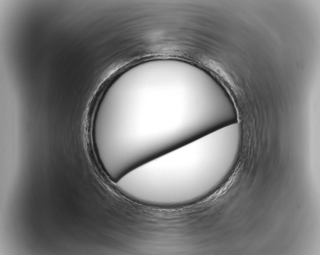 X0000096671071200802051005