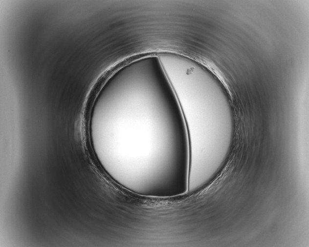 X0000096671072200802051005