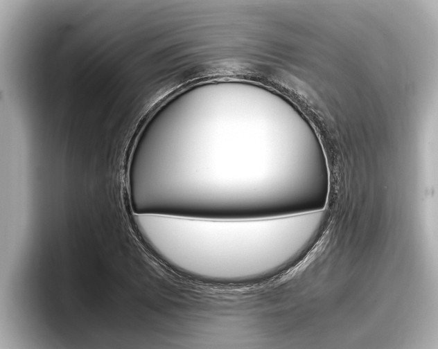 X0000096671073200802051005