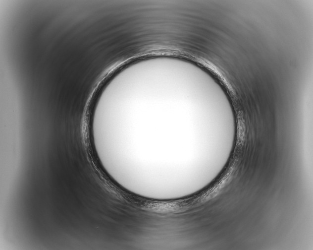 X0000096671074200802051005