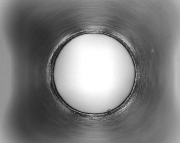 X0000096671075200802051005