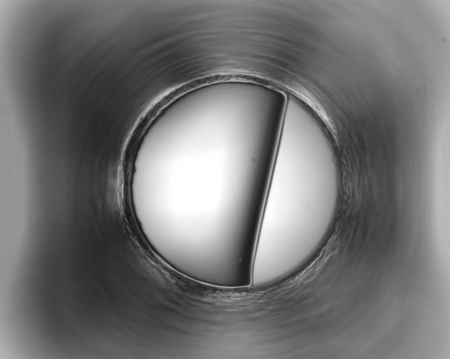 X0000096671076200802051005