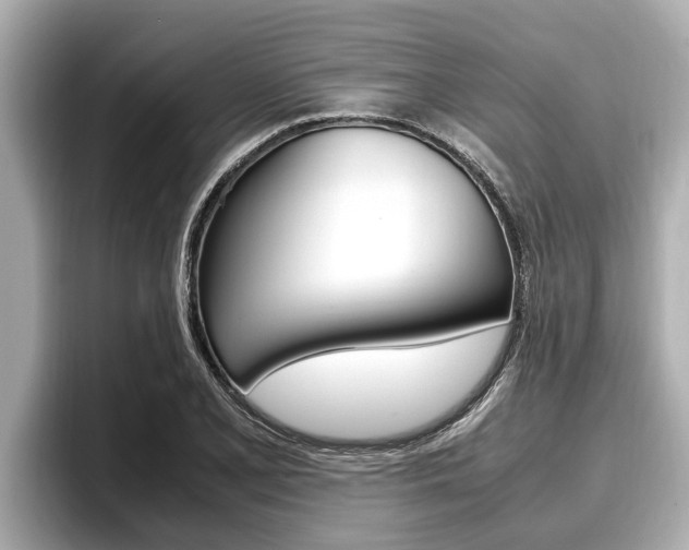 X0000096671077200802051005