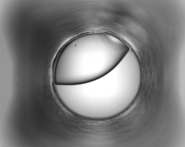 X0000096671079200802051005