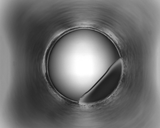 X0000096671080200802051005
