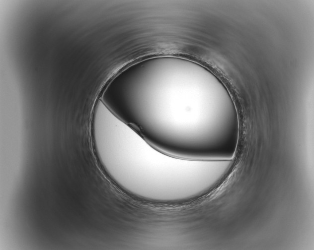 X0000096671081200802051005