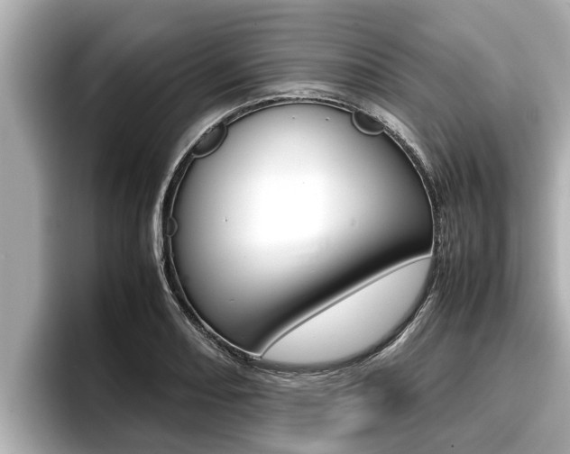 X0000096671082200802051005