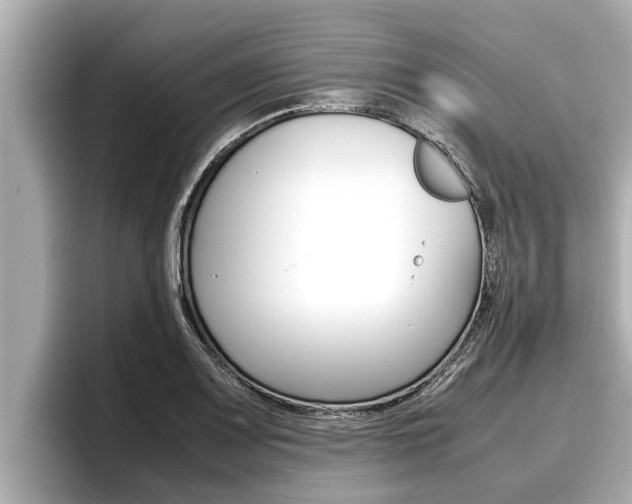 X0000096671083200802051005