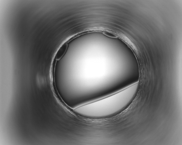 X0000096671084200802051005