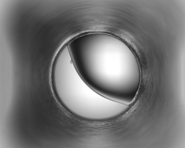 X0000096671085200802051005