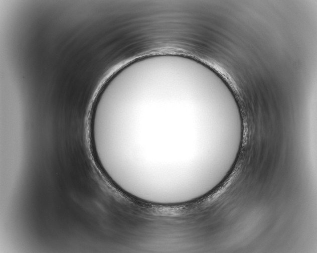 X0000096671086200802051005