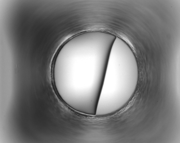 X0000096671087200802051005