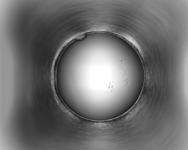 X0000096671088200802051005