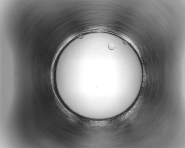 X0000096671090200802051005