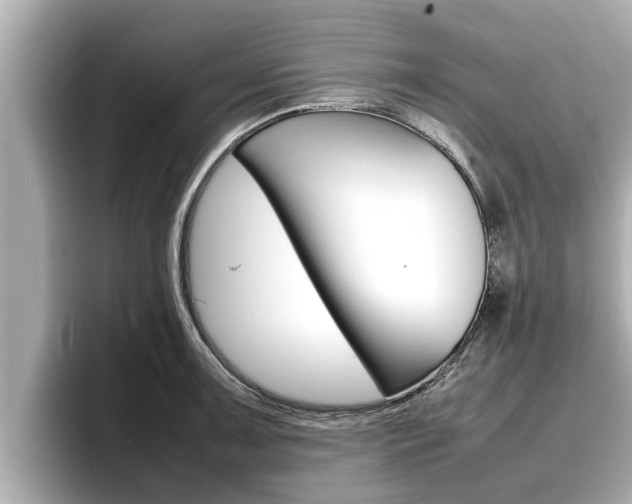 X0000096671091200802051005