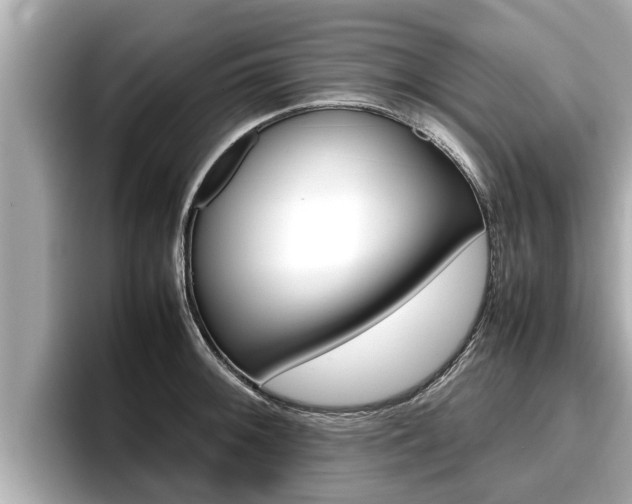 X0000096671092200802051005