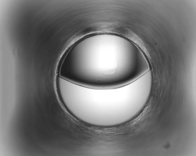 X0000096671093200802051005