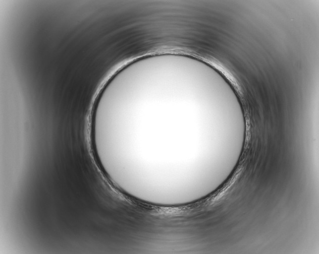 X0000096671094200802051005