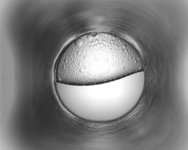 X0000096671095200802051005