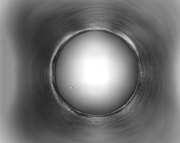 X0000096671096200802051005