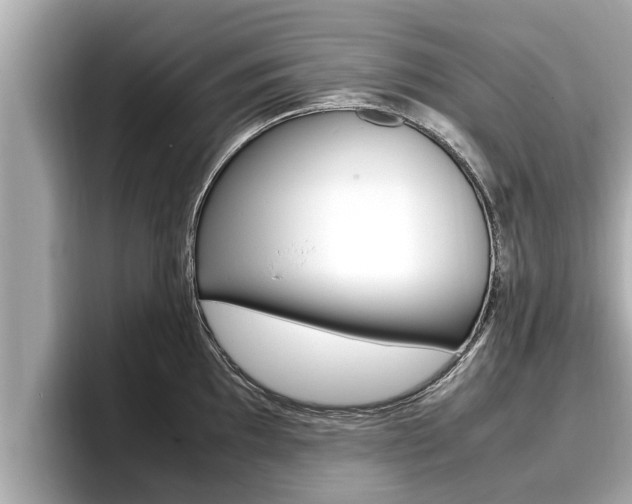 X0000096671097200802051005