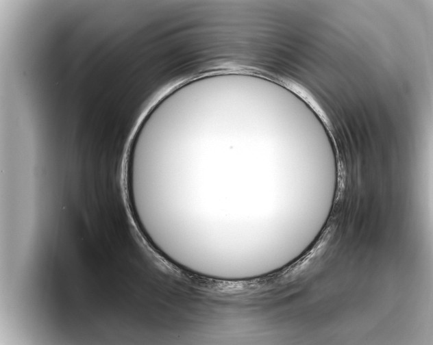 X0000096671098200802051005