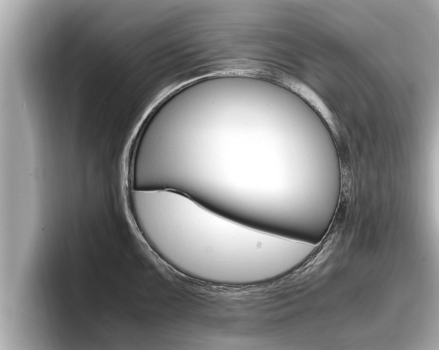 X0000096671099200802051005