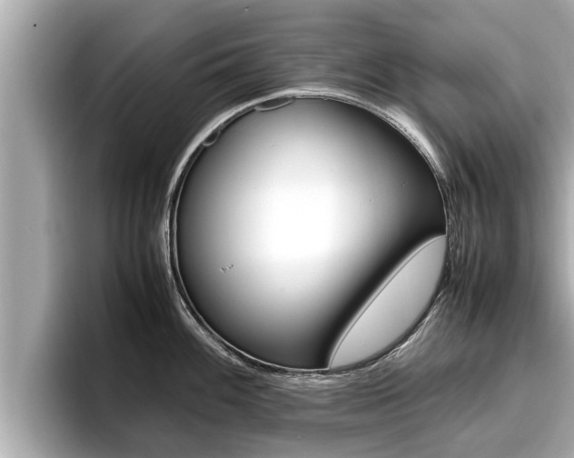 X0000096671100200802051005